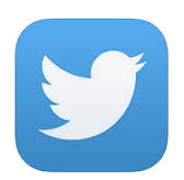 Twitter logo - Bird