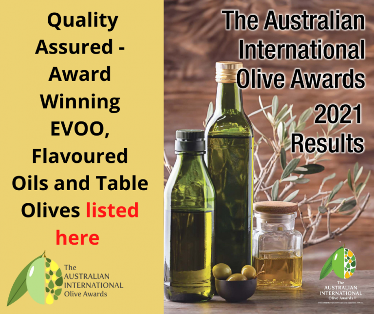 Preserving olives our simple recipe for preserving olives at home